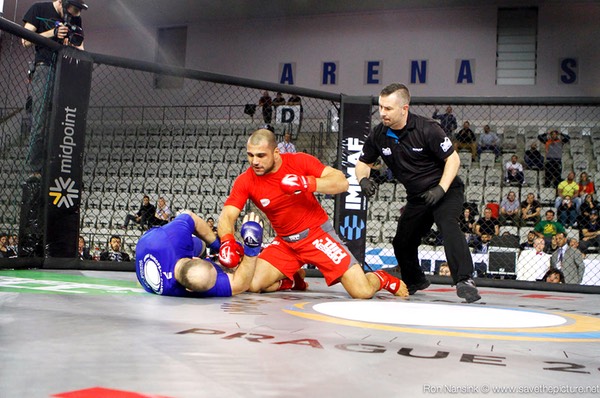 IMMAF MMA action photos 47