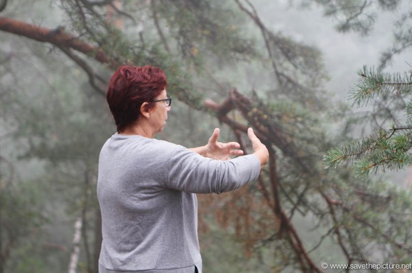 Aida Birdview Taikiken Ritsuzen