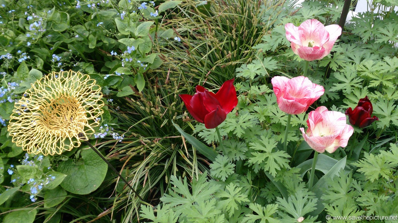 Droog artificial and natural flower art united