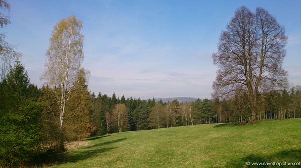 Hotel Zamecek playfield