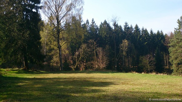 Hotel Zamecek Taikiken training field