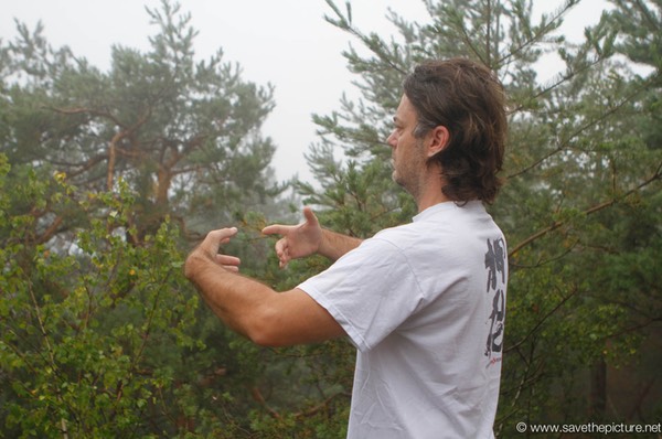 Lucian Birdview Taikiken Ritsuzen