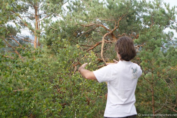 Lucian Taikiken Ritsuzen training with a feel