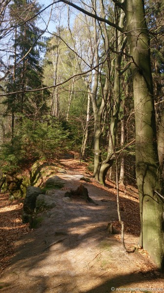 Path to the Taikiken early morning meditation spot 2