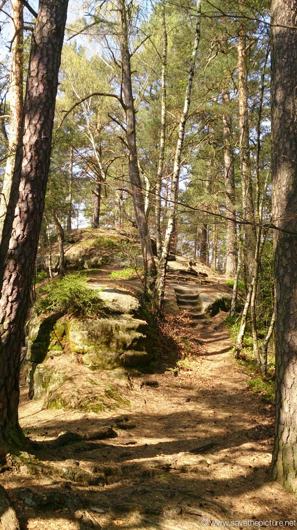 Path to the Taikiken early morning meditation spot 3