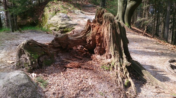 Taikiken, blindfold walking obstacle