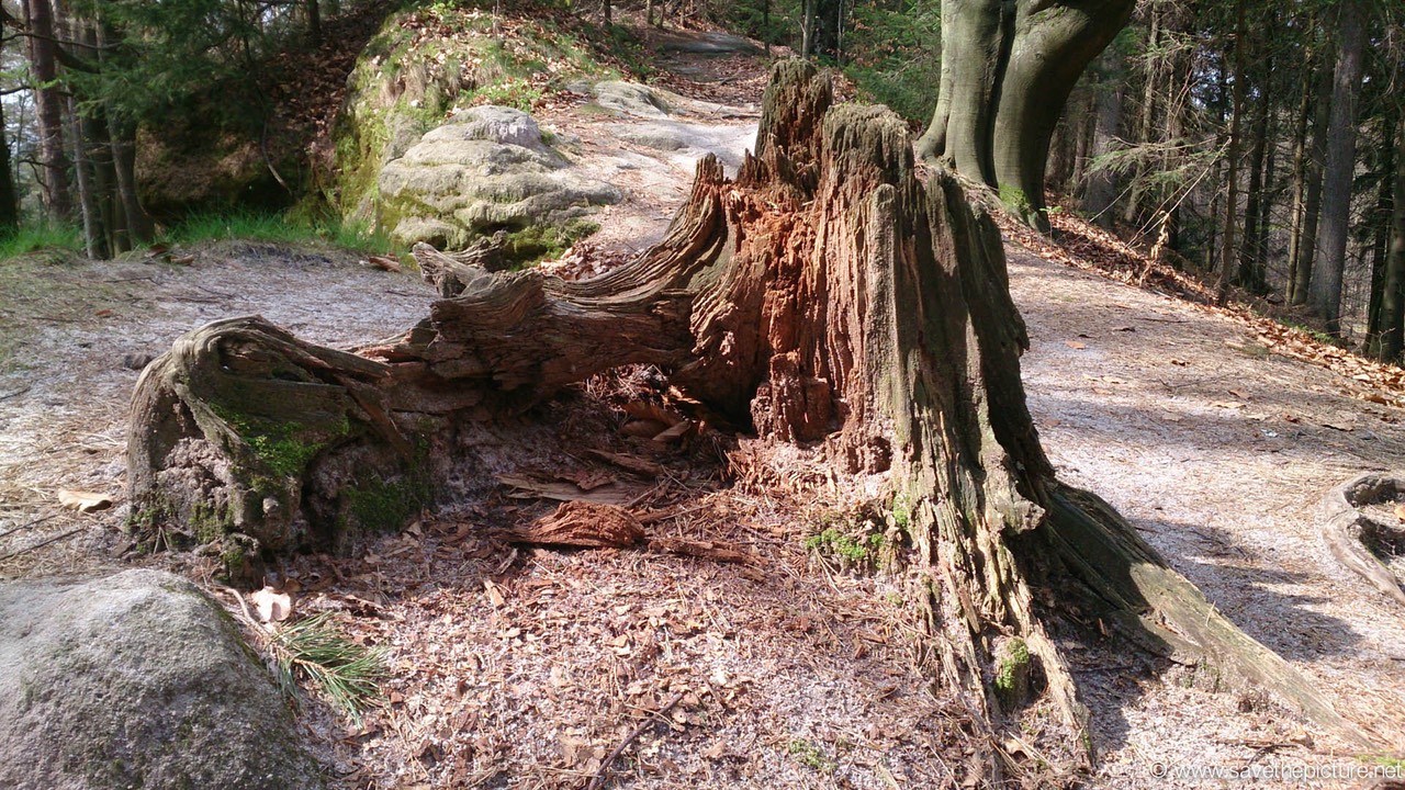 Taikiken, blindfold walking obstacle