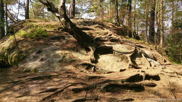 Taikiken early morning meditation spot