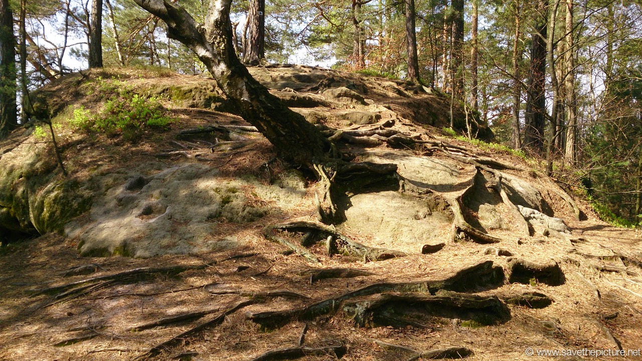 Taikiken early morning meditation spot