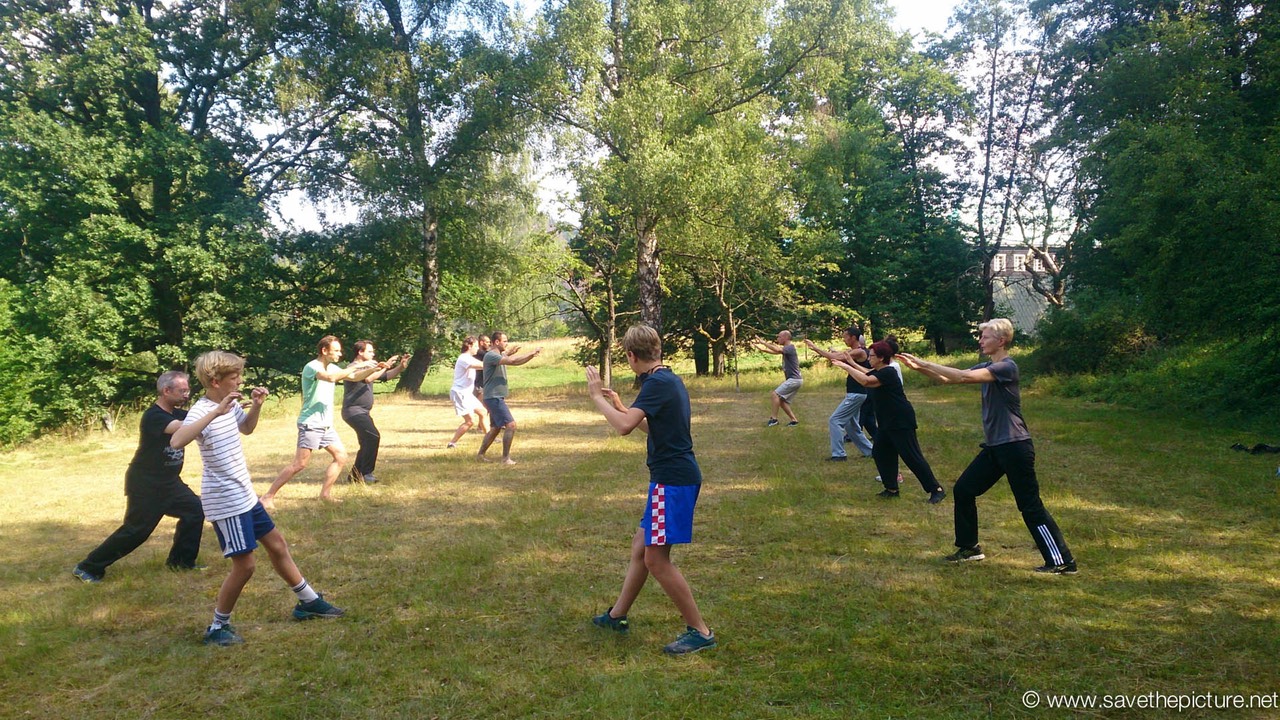 Taikiken morning training at the field, High walking