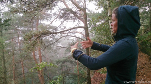 Taikiken Nadja early morning Ritsuzen in the clouds covering the mountaintop 