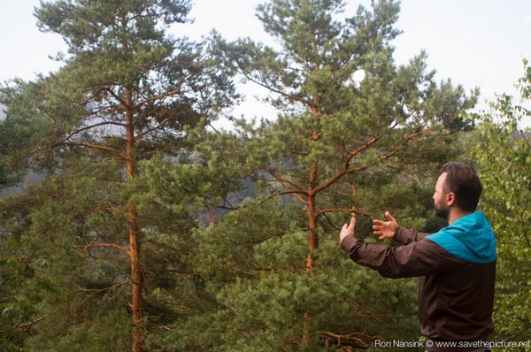 Taikiken Natural Tuning 2016, being strong in all directions