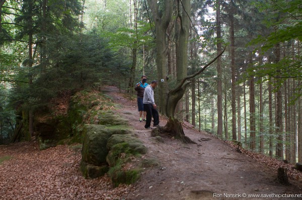 Taikiken Natural Tuning 2016, blindfold walking to tune your natural senses