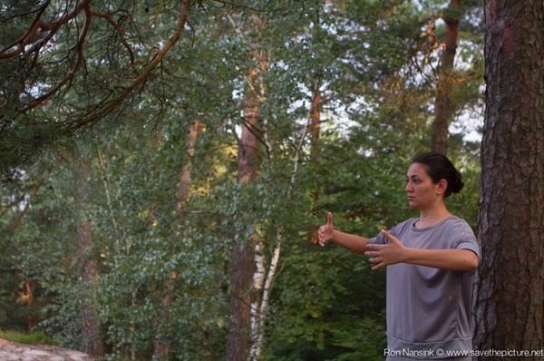 Taikiken Natural Tuning 2016, Fay back in nature, Ritsuzen between the trees