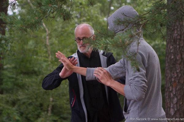 Taikiken Natural Tuning 2016, single hand pushing hands, exercising in flow-motion