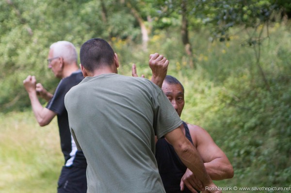 Taikiken Natural Tuning 2016, straightpunch defense with Uraken counter in one move