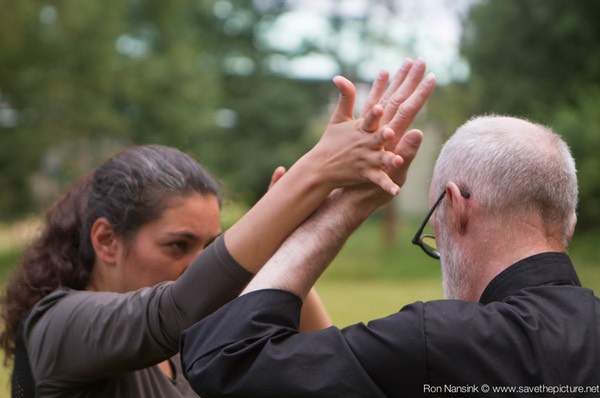 Taikiken Natural Tuning 2016, trying to get the feel of the movement