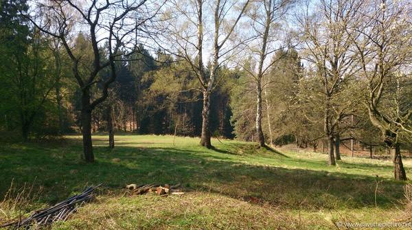 Taikiken open air dojo