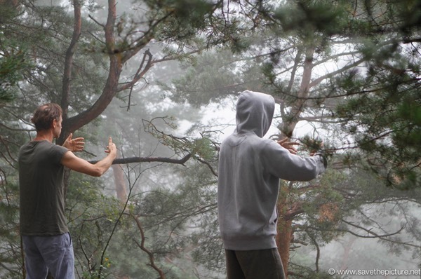 Taikiken Ritsuzen, misty morning view