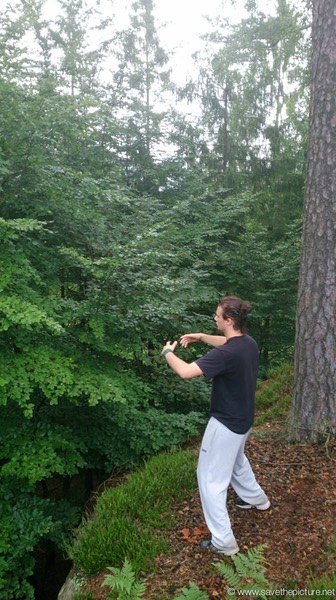 Taikiken Ritsuzen natural tuning in deep forest