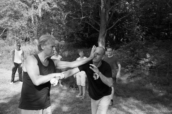 Taikiken sashite defence and attack 2