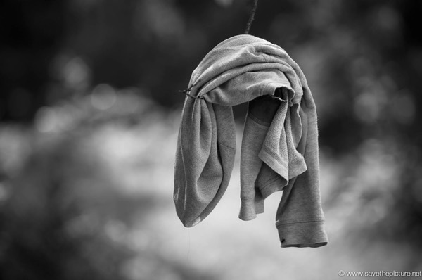 Taikiken silent witness