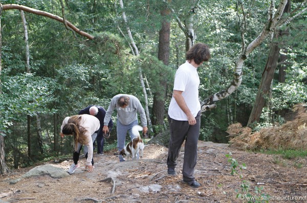 Taikiken walking backwards to breakfast