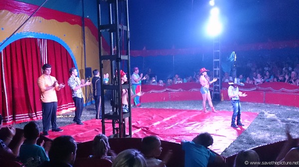 The complete cirkus staff