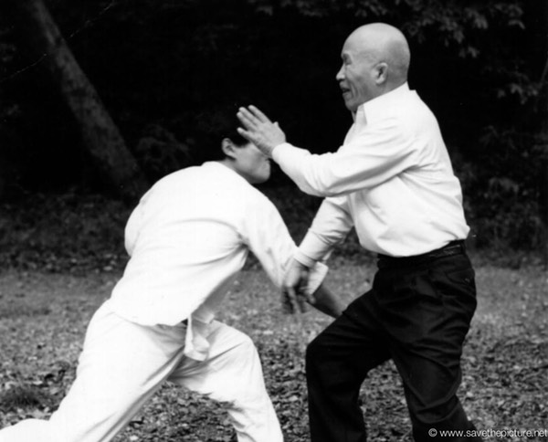 Taikiken Kenichi Sawai Tokyo Meiji jingu 13